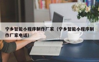 定边宁乡智能小程序制作厂家（宁乡智能小程序制作厂家电话）