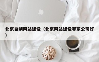 定边北京自制网站建设（北京网站建设哪家公司好）